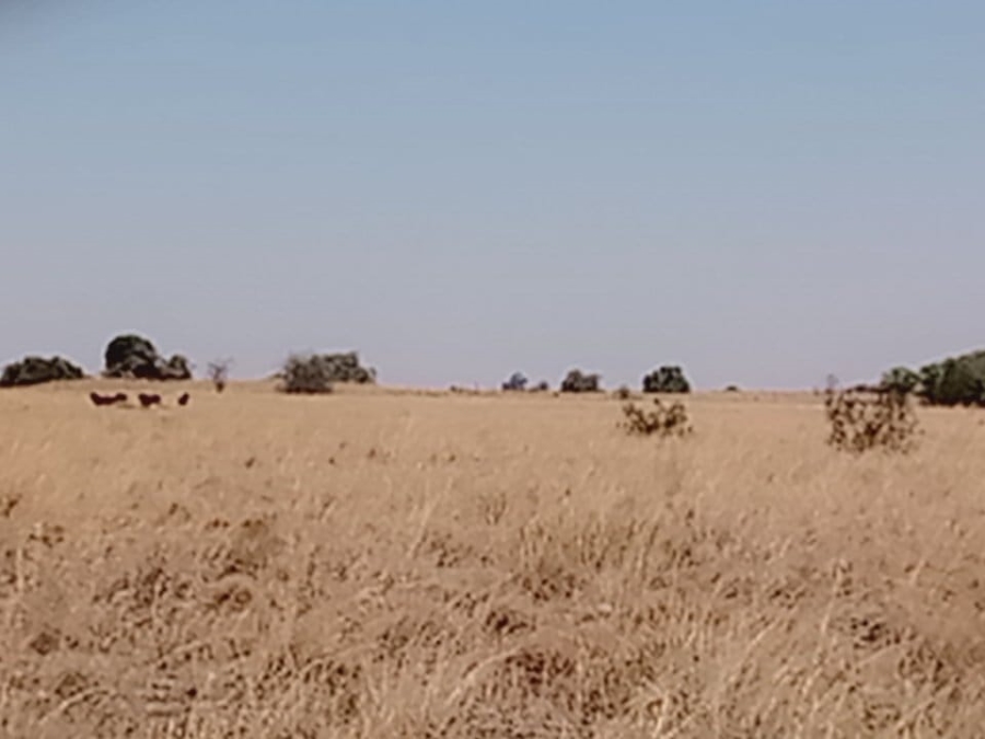  Bedroom Property for Sale in Lichtenburg Rural North West